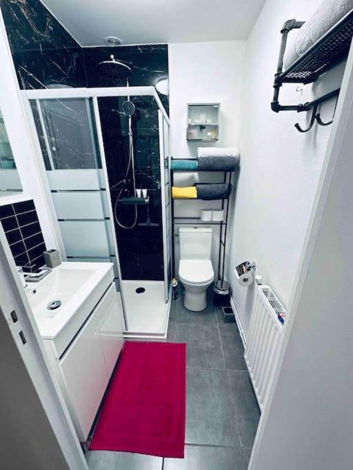 Appartamento 3 Personnes Centre Ville, Avec Cour *